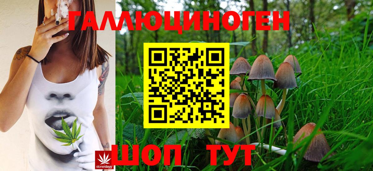 Галлюциногенные грибы Psilocybe Краснокамск